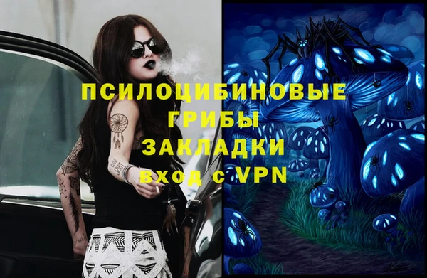 прущий лед Алексин