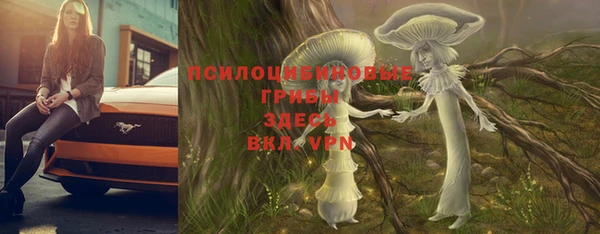 прущий лед Алексин