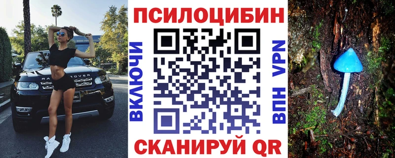 наркотики  Злынка  Галлюциногенные грибы мицелий 